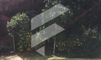 Imagem 4: Vende-se Sítio em Paraju