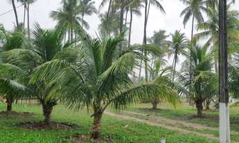 Imagem 6: Casa de c/ Piscina 100m da Praia para até 12 pessoas em Ilhéus-Itacaré