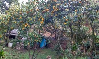 Imagem 4: Casa à Venda - Alto Petrópolis, 3 Quartos, 400 m2