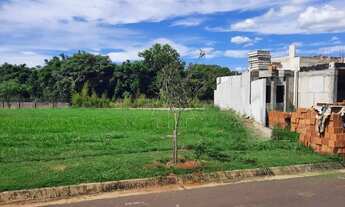 Imagem: Araçatuba - Lote/Terreno - Santa Luzia