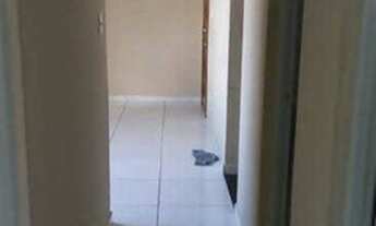 Imagem 2: Apartamento no condomínio Canoas