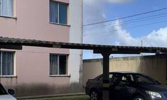 Imagem: Parque das árvores