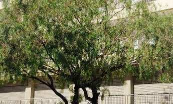 Imagem 4: Apartamento com 1 dormitório para alugar, 35 m² por R$ 1.360,00/mês - Jardim Nova Aliança