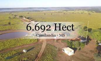 Imagem 13: ML FAZENDAS - FAZ 151 Fazenda em Cassilândia / MS 6.692,43 Hect