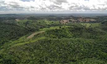 Imagem 6: Vendo fazendinha em Nazaré das farinha