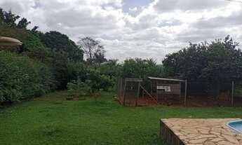 Imagem 6: Igarapé - Chácara de 1000m²