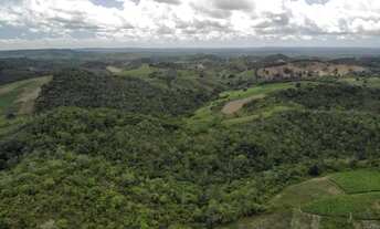 Imagem 4: Vendo fazendinha em Nazaré das farinha
