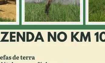 Imagem: Fazenda no Km 100