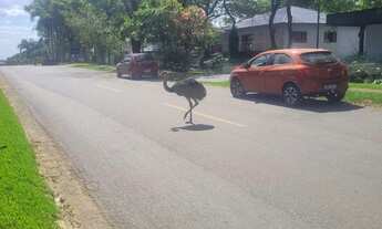 Imagem: Terreno à venda no bairro Residencial Aldeia