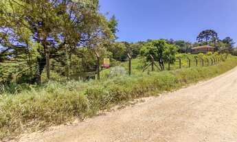 Imagem: Vendas Área Colombo PR