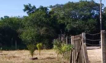 Imagem 5: Sítio em Águas Claras