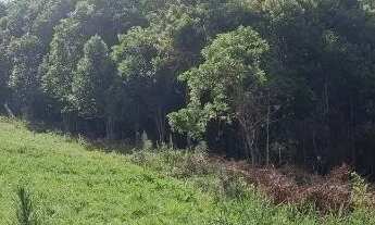 Imagem 7: Area 46 mil metros Terreno Industrial Campina Gde do Sul 1km da BR116 PermutaxPraia