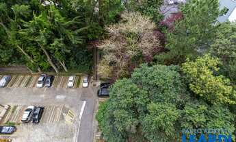 Imagem 4: APARTAMENTO - JARDIM DO TIRO - SP