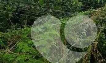 Imagem 2: Terreno à venda, 1390 m² por R$ 5.000.000 - Joá - Rio de Janeiro/RJ