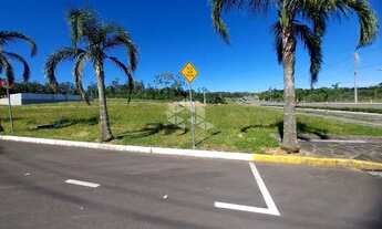 Imagem: Terreno localizado em loteamento com infraestrutura