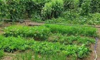 Imagem 4: Fazenda com à venda, 60000 m² por R$ 1.490.000