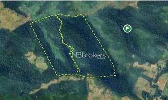 Imagem 2: Área Rural com Potencial Florestal e Pecuário no Paraná