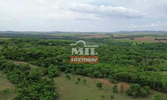 Imagem 5: Chácara 2 alqueires e 4 litros (9,7 hectares) Cezarina - Go