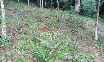 Imagem 5: Chácara em Estrada do Yamamoto, 10A - Alvorada - Biritiba Mirim/SP