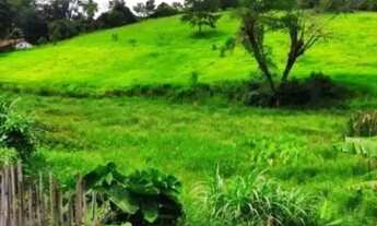 Imagem 4: AREA - PARQUE DOS JACARANDÁS - SP