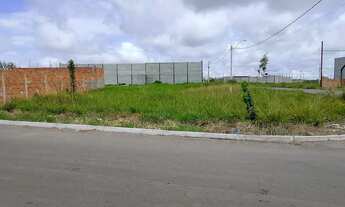 Imagem 5: Lote em abadia de Goiás