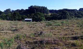Imagem 5: Chácara em mato queimado 2 km da estrada do Cazuza ferreira