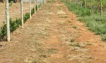 Imagem 7: Vendo lote. Faço trocas