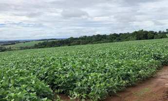 Imagem: 25.5 alqueires em Itaberai