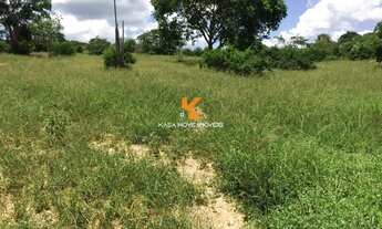 Imagem 5: Fazenda à venda em Ibiquera-BA: 3 Quartos, 2 Salas, 2 Banheiros, 653 Hectares de Área