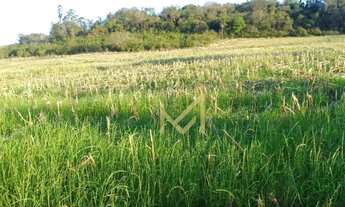 Imagem: Área à venda, 35218 m² por R$ 580.000,00