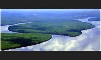 Imagem 5: AMAZONAS: Área a venda de 10 mil hectares, com a documentação completa