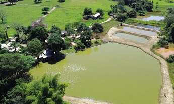 Imagem: Chácara de 8,5 alqueires rica em água