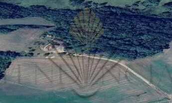 Imagem 3: Terreno à venda, 179.087 m2, Porto das Laranjeiras - Araucária PR