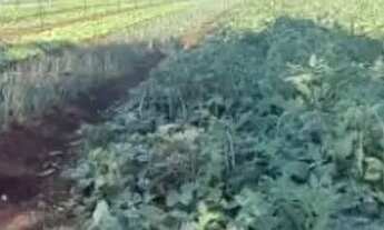 Imagem 3: Chácara à venda, 3269 m² por R$ 200.000,00 - Zona Rural - Rio Verde/GO