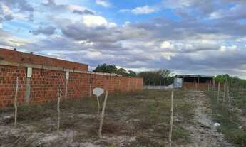 Imagem 3: Terreno 10x20 Conceição do Coité-Ba