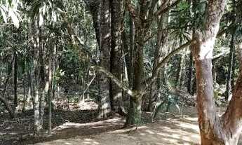 Imagem 7: LINDA CHACARA COM BICA D´AGUA PROXIMA A ANÁPOLIS!