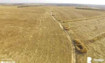 Imagem 4: FAZENDA MONTE BELO LUIZLÂNDIA DO OESTE - MG