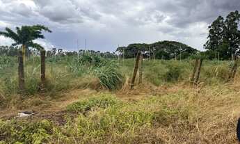 Imagem 5: Chácara a venda na DF-100 com 13 hectares