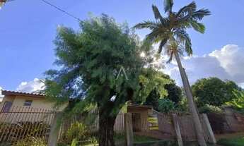 Imagem: Terreno à venda no Bairro PERIOLO em CASCAVEL