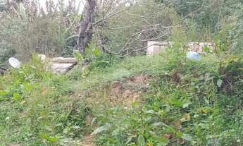 Imagem 5: Vendas Terreno Almirante Tamandaré PR