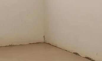 Imagem 6: Barracão Industrial e comercial para locação