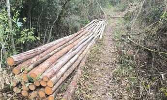 Imagem 7: Imóvel para venda possui 500 metros quadrados em Recreio - Ibiúna - SP