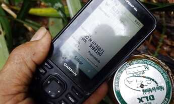 Imagem 5: Fazenda Legalizada em Rorainópolis-RR | Área de Mata