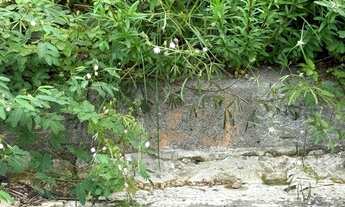 Imagem: Vendo 2 Terrenos QUITADOS no Residendial