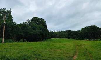 Imagem 7: VENDO!!! Uma fazenda de 290 hectares na beira do rio manso com 400 metros de mar
