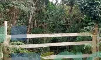 Imagem 3: Terreno/Área à venda com 45.997,46m² no São João