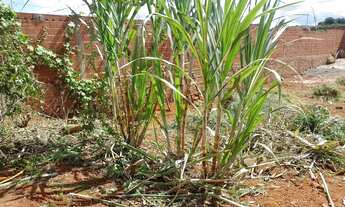 Imagem 5: Vendo um lote na 26