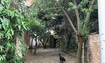 Imagem 5: Terreno à venda ou para locação em Perdizes - SP