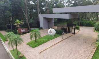 Imagem 6: Lote/Terreno para venda tem 710 m2 área privativa em Santa Felicidade - Curitiba - PR