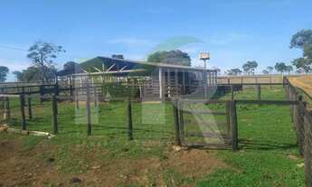 Imagem 4: Fazenda 80 Alqueires dupla aptidão lavoura/pecuária em Corumbaíba - Go